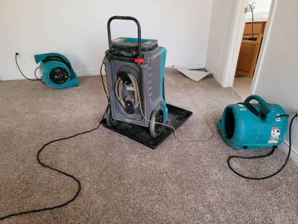Water damage restoration experts in Dunkirk, MD
