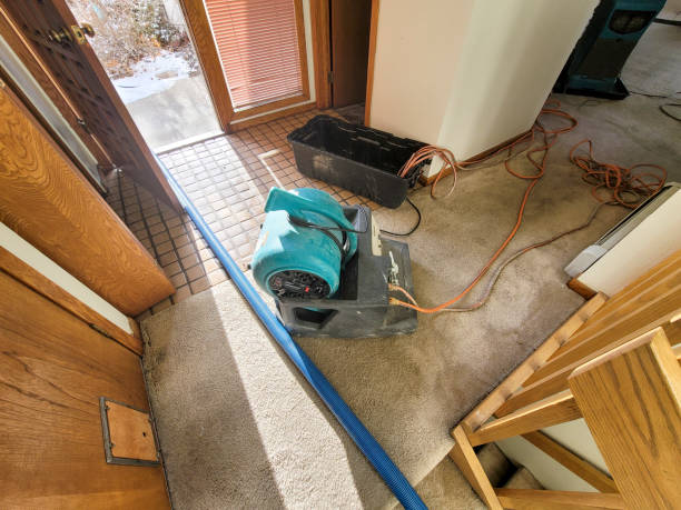 Best Ceiling water damage repair  in Dunkirk, MD