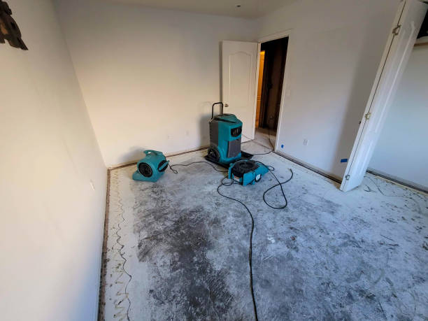 Best Water damage restoration near me  in Dunkirk, MD