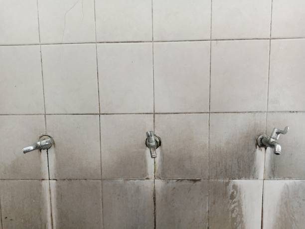 Best Fire Damage Restoration  in Dunkirk, MD