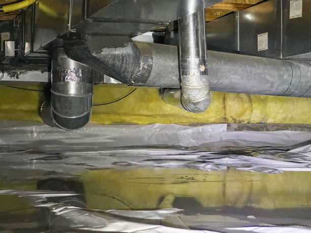 Best Water damage cleanup near me  in Dunkirk, MD