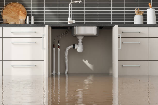 Best Flooded house restoration  in Dunkirk, MD