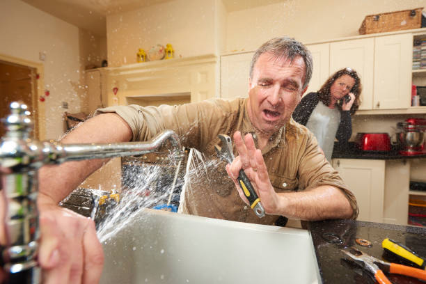 Best Flood damage cleanup  in Dunkirk, MD